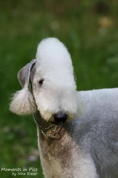 2010-05-23 Airis Blue Volshebny Svet Walk (10).jpg